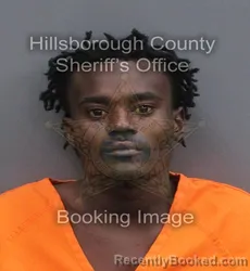 Mugshot of JAYMARQUIS DESHAWN ROBINSON booked in Hillsborough County, Florida on May 31, 2026