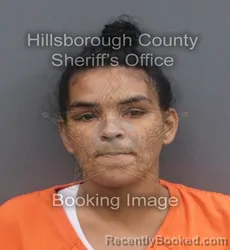 Mugshot of ZULEYKA I GONZALEZ PEREZ booked in Hillsborough County, Florida on May 31, 2026