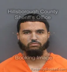 Mugshot of JEAN MICHAEL ALVARADO booked in Hillsborough County, Florida on May 31, 2026