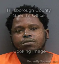 Mugshot of DARNELL HORACE LAW booked in Hillsborough County, Florida on May 31, 2026