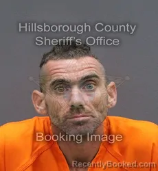 Mugshot of KEVIN WILLIAM NORK booked in Hillsborough County, Florida on June 1, 2026