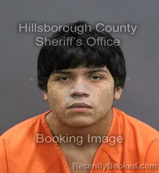 Mugshot of ANTHONY BETANCOURT booked in Hillsborough County, Florida on June 1, 2026