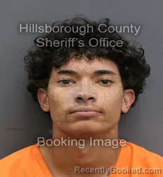 Mugshot of SAMUEL MALACHI SANTOS booked in Hillsborough County, Florida on June 1, 2026