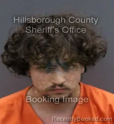 Mugshot of TONY WAYNE JR SEELYE booked in Hillsborough County, Florida on June 1, 2026