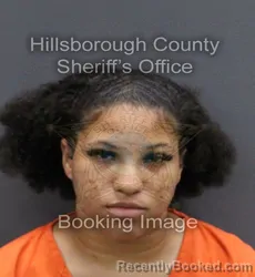 Mugshot of ANTESEA ALVONIQ HENDRICKS booked in Hillsborough County, Florida on June 1, 2026