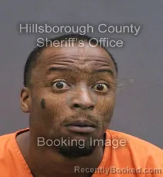 Mugshot of CHESTER III HARPER booked in Hillsborough County, Florida on June 1, 2026