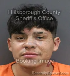 Mugshot of ALEX ACOSTA-SOLIS booked in Hillsborough County, Florida on June 1, 2026