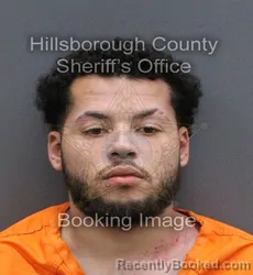 Mugshot of ABDIEL ABNEL CRUZ CORDERO booked in Hillsborough County, Florida on June 1, 2026