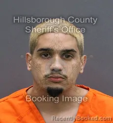 Mugshot of JEROMY RIVERA GALINDEZ booked in Hillsborough County, Florida on June 1, 2026