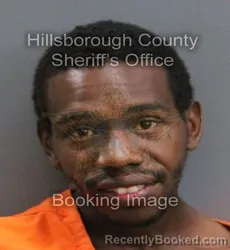 Mugshot of JEROME ELDRIDGE REED booked in Hillsborough County, Florida on June 1, 2026