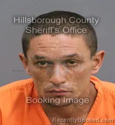 Mugshot of JUAN JOSE JR HERNANDEZ booked in Hillsborough County, Florida on June 1, 2026