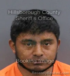 Mugshot of JOSE ELISEO JIMENEZ PEREZ booked in Hillsborough County, Florida on June 1, 2026