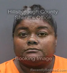 Mugshot of CARMEN CELIA MENDOZA booked in Hillsborough County, Florida on June 1, 2026
