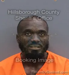 Mugshot of ELIFILS JR REMY booked in Hillsborough County, Florida on June 1, 2026