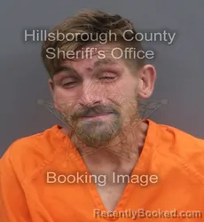 Mugshot of RICHARD JOSEPH LEMANSKI booked in Hillsborough County, Florida on June 1, 2026