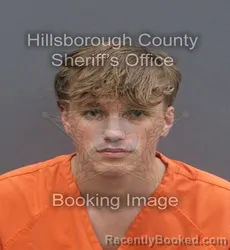Mugshot of LOGAN C WOLYNSKI booked in Hillsborough County, Florida on June 1, 2026