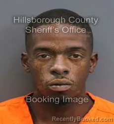 Mugshot of DONTE VIRGIL-DEKEIVEN MARTIN booked in Hillsborough County, Florida on June 1, 2026