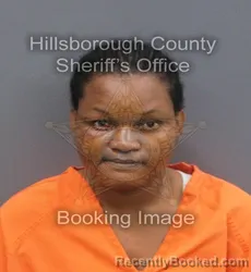 Mugshot of CARMESUZE FELIME booked in Hillsborough County, Florida on June 1, 2026