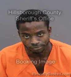 Mugshot of WINSTON KEVIN ROHAN THORPE booked in Hillsborough County, Florida on June 1, 2026