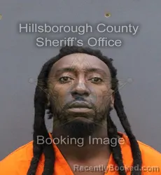 Mugshot of ALFRED JAMAL EVANS booked in Hillsborough County, Florida on June 1, 2026