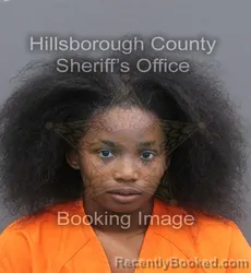 Mugshot of DESSTANEE DUHART booked in Hillsborough County, Florida on June 1, 2026