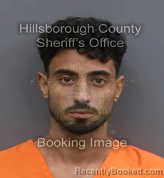 Mugshot of MOHAMED MOHYELDIN AHMED AHME ABDRABOU booked in Hillsborough County, Florida on June 1, 2026