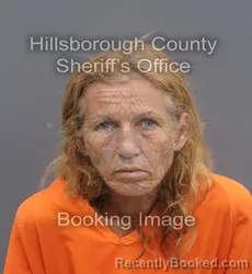 Mugshot of MARCIA MAE TURLEY booked in Hillsborough County, Florida on June 1, 2026