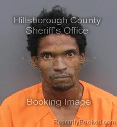 Mugshot of MAURICE ERSEL HARRIS booked in Hillsborough County, Florida on June 1, 2026