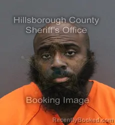 Mugshot of DIJON MYSHAWN HORRY booked in Hillsborough County, Florida on June 1, 2026