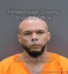 Booking photo from Hillsborough County, Florida