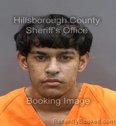 Booking photo from Hillsborough County, Florida