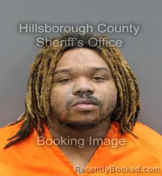 Mugshot of JAVIS ORENTHEA JAMES