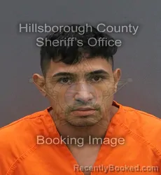 Mugshot of REINALDO JESUS SUAREZ CAMACHO booked in Hillsborough County, Florida on June 3, 2026