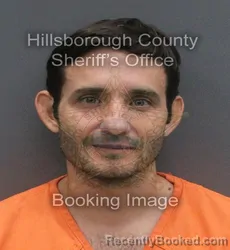 Mugshot of DENNIS LEE JR JONES booked in Hillsborough County, Florida on June 3, 2026