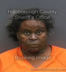 Mugshot of DEMETRIE MONIQUE GIPSON CAMPBELL booked in Hillsborough County, Florida on June 3, 2026