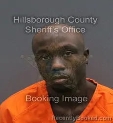 Mugshot of THEODORE ANDREW SULLIVAN booked in Hillsborough County, Florida on June 3, 2026