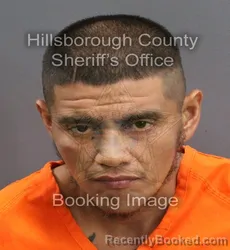 Mugshot of ANDRES GRANADO booked in Hillsborough County, Florida on June 3, 2026