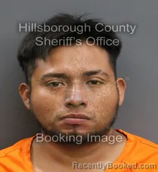 Mugshot of RODRIGO ALEJANDRO GARCIA GARCIA booked in Hillsborough County, Florida on June 3, 2026