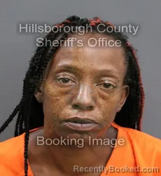 Mugshot of CYNTHIA AMANDA JACKSON booked in Hillsborough County, Florida on June 3, 2026