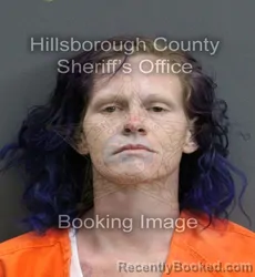 Mugshot of AMBER SUNSET LOVELL booked in Hillsborough County, Florida on June 3, 2026