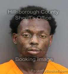 Mugshot of RILEY LYNN III HOLMES booked in Hillsborough County, Florida on June 3, 2026