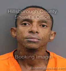 Mugshot of BRANDON KEITH SANDERS booked in Hillsborough County, Florida on June 3, 2026