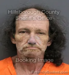 Mugshot of STEVEN WAYNE RYALS booked in Hillsborough County, Florida on June 3, 2026