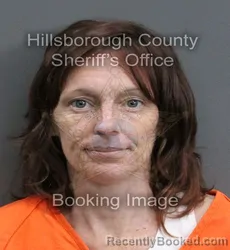 Mugshot of ANGELA L BROOKS booked in Hillsborough County, Florida on June 3, 2026