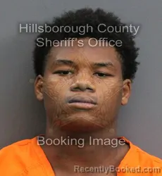 Mugshot of ADRIAN DELEON JAMES booked in Hillsborough County, Florida on June 3, 2026