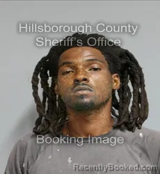 Mugshot of MALCOLM JAMES MCCULLOUGH booked in Hillsborough County, Florida on June 3, 2026