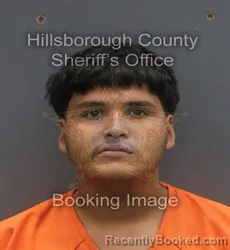 Mugshot of JAIME JR ALVAREZ booked in Hillsborough County, Florida on June 3, 2026