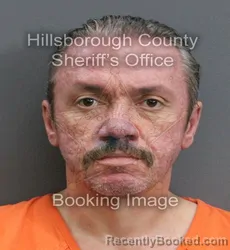 Mugshot of BURAK KURTULDU booked in Hillsborough County, Florida on June 3, 2026