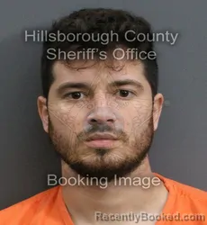 Mugshot of JOSHUA DAVID SANDMAN booked in Hillsborough County, Florida on June 3, 2026