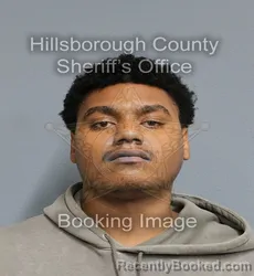 Mugshot of QAHMIR ANTHONY FUMAROLA booked in Hillsborough County, Florida on June 3, 2026